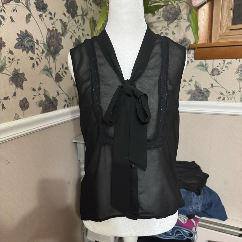 Pins and Needles sheer top